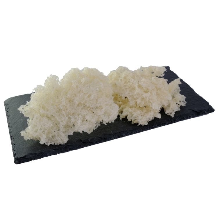 印尼特级白燕条