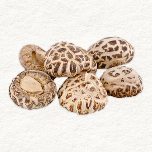 【海王牌】天白花菇簡介