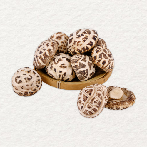 【海王牌】南韩天白花菇