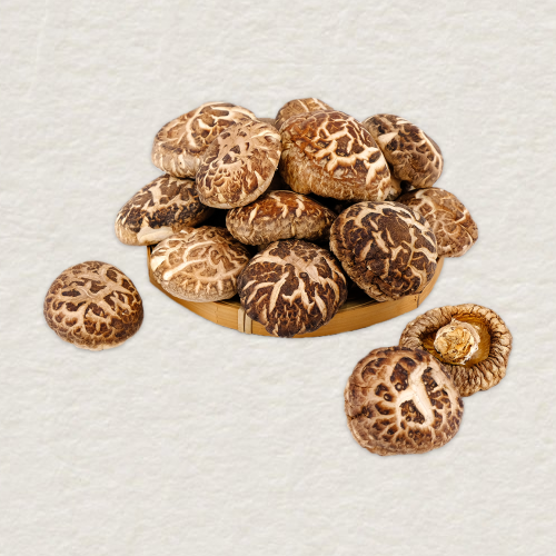 【海王牌】精选秋寒菇